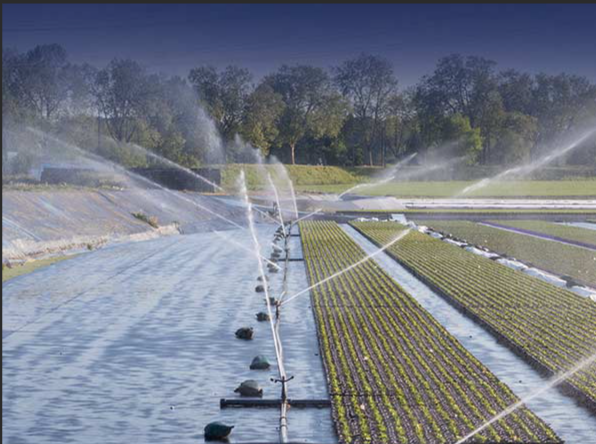 氨氮：水中的“雙刃劍”，你了解多少？